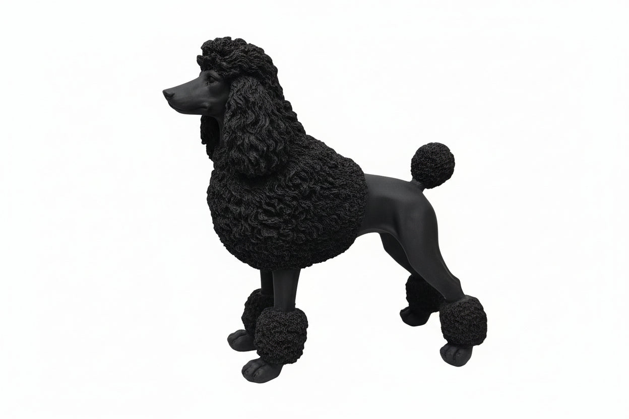 BLACK FRENCH POODLE