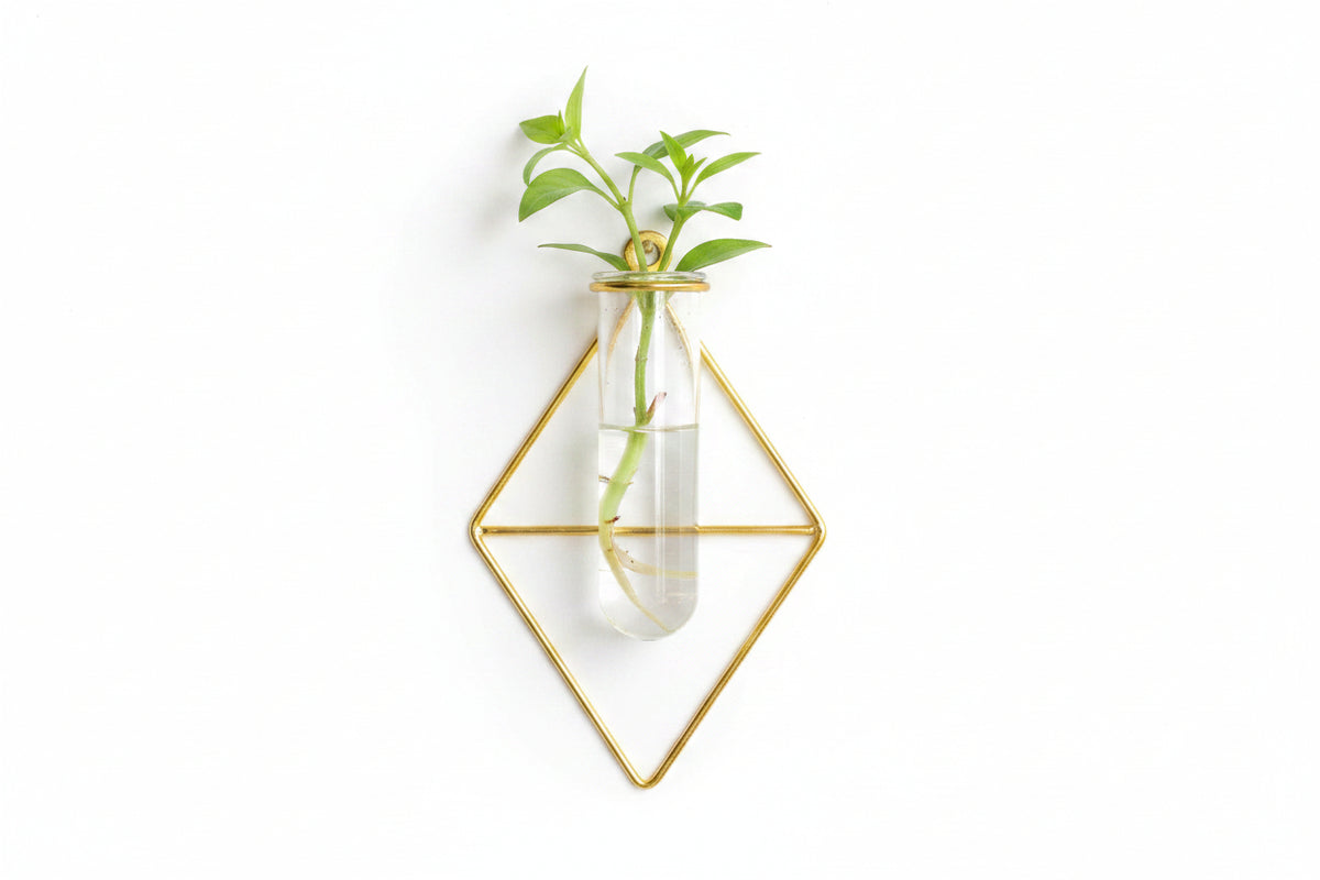FLOATING GLASS CYCLINDER