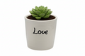 MINI FLOWER POT