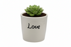 MINI FLOWER POT
