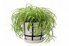 B/W PRINTED PLANTER POT LRG