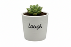 MINI FLOWER POT