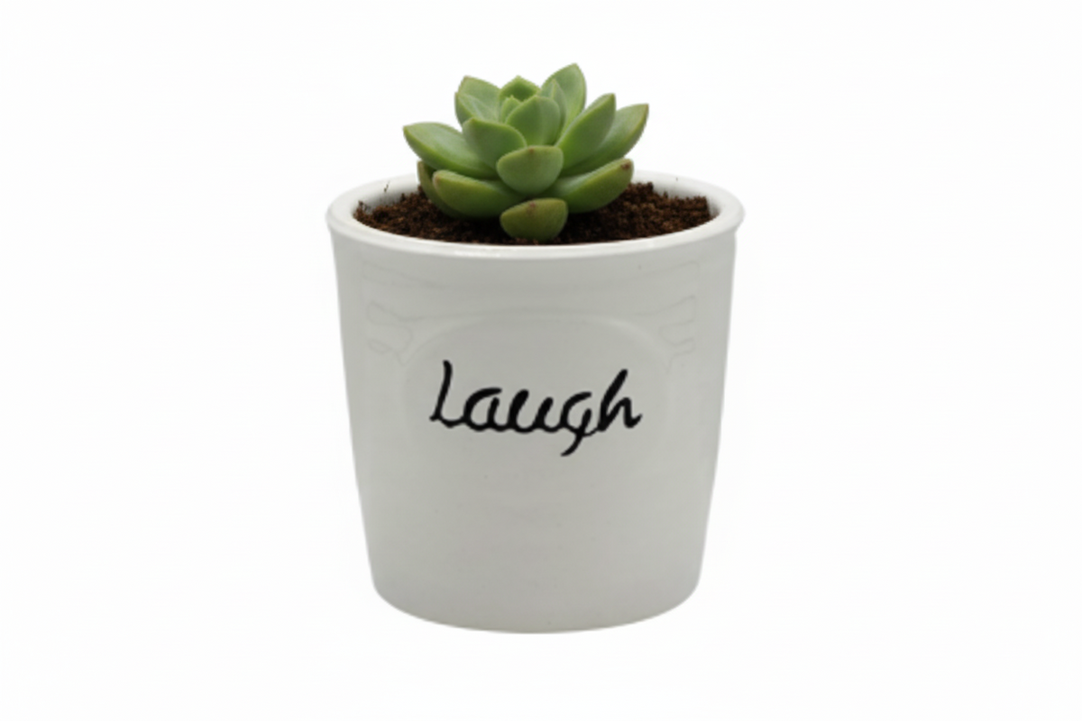 MINI FLOWER POT