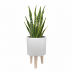 WHITE INDOOR CERAMIC POT & WOODEN STAND
