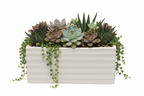 SUCCULENT MINI RECT PLANTER