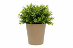 TAN CERAMIC POT