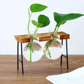 TWO GLASS PLANTER IN WOODEN STAND