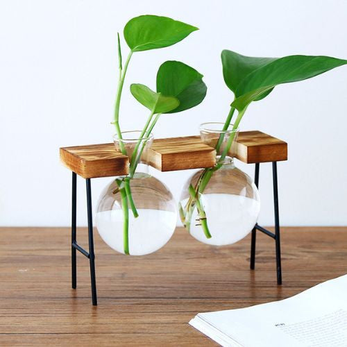 TWO GLASS PLANTER IN WOODEN STAND